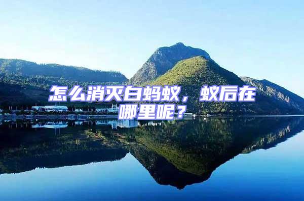 怎么消滅白螞蟻，蟻后在哪里呢？