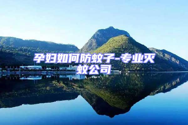 孕婦如何防蚊子-專業(yè)滅蚊公司