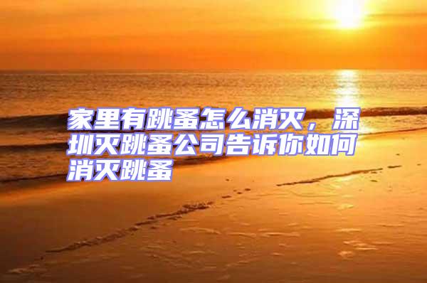 家里有跳蚤怎么消滅，深圳滅跳蚤公司告訴你如何消滅跳蚤