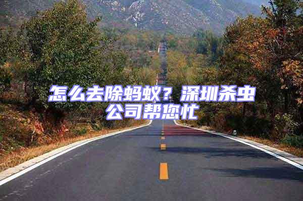 怎么去除螞蟻？深圳殺蟲公司幫您忙