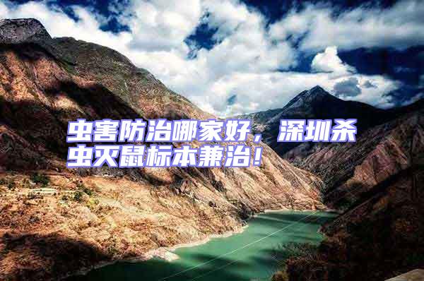 蟲害防治哪家好，深圳殺蟲滅鼠標本兼治！