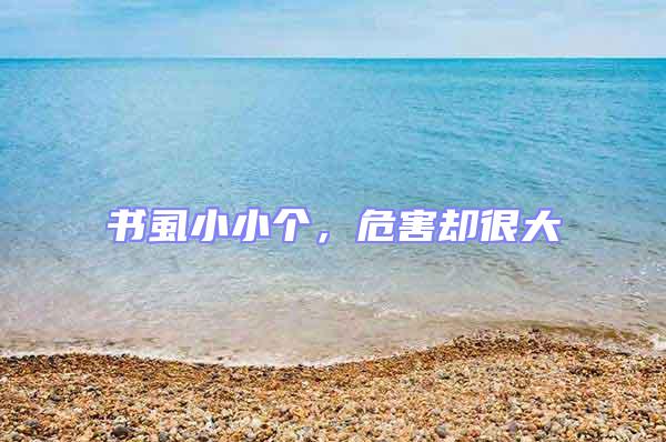 書虱小小個，危害卻很大