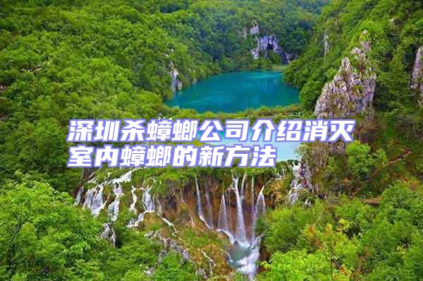 深圳殺蟑螂公司介紹消滅室內蟑螂的新方法