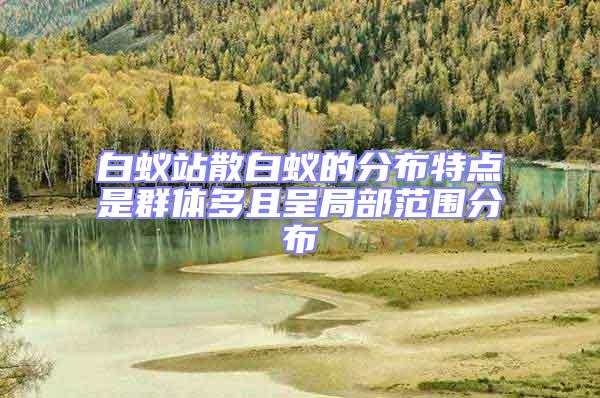 白蟻站散白蟻的分布特點是群體多且呈局部范圍分布