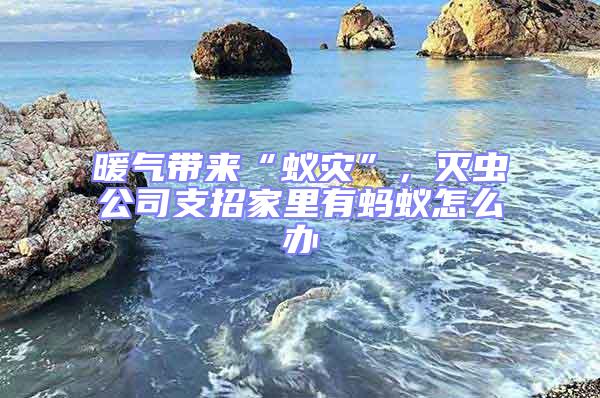 暖氣帶來“蟻災(zāi)”，滅蟲公司支招家里有螞蟻怎么辦