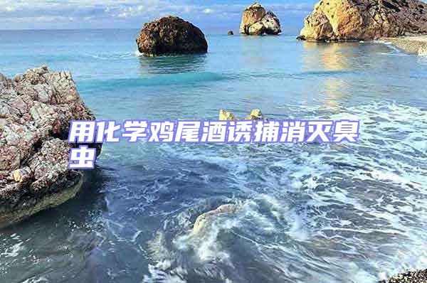 用化學(xué)雞尾酒誘捕消滅臭蟲