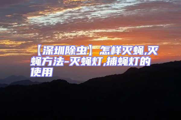 【深圳除蟲】怎樣滅蠅,滅蠅方法-滅蠅燈,捕蠅燈的使用