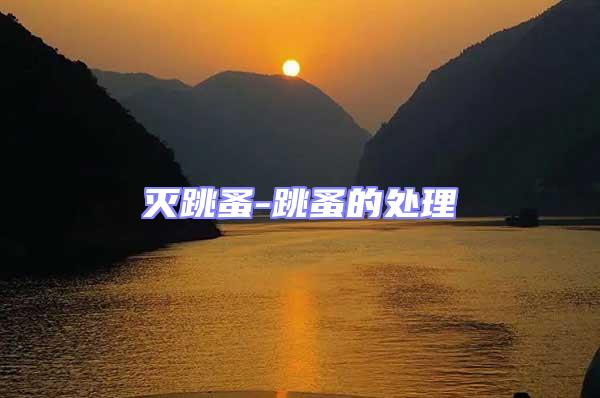 滅跳蚤-跳蚤的處理