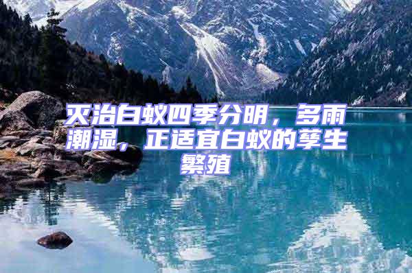 滅治白蟻四季分明，多雨潮濕，正適宜白蟻的孳生繁殖