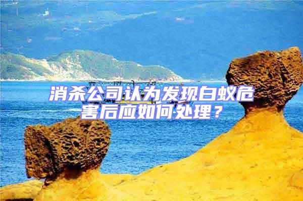 消殺公司認(rèn)為發(fā)現(xiàn)白蟻危害后應(yīng)如何處理？