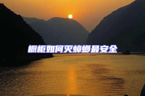 櫥柜如何滅蟑螂最安全