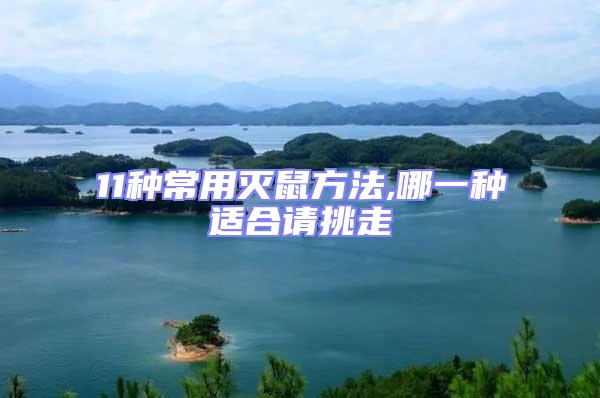 11種常用滅鼠方法,哪一種適合請?zhí)糇?/></p>
									<p style=