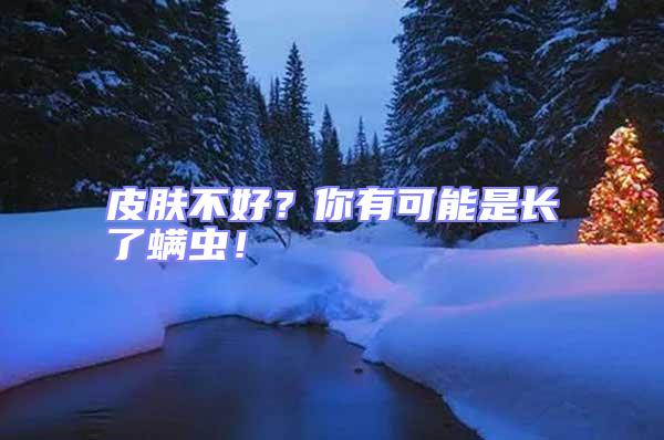 皮膚不好？你有可能是長了螨蟲！