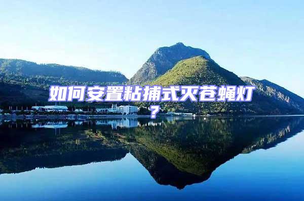 如何安置粘捕式滅蒼蠅燈？