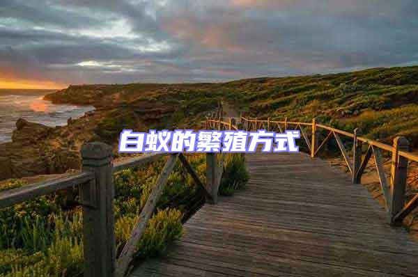 白蟻的繁殖方式