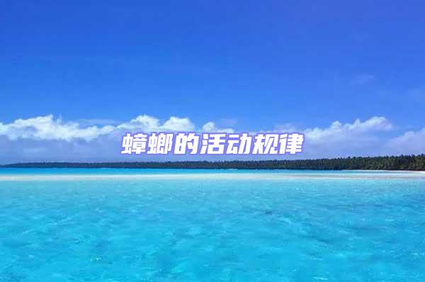 蟑螂的活動(dòng)規(guī)律
