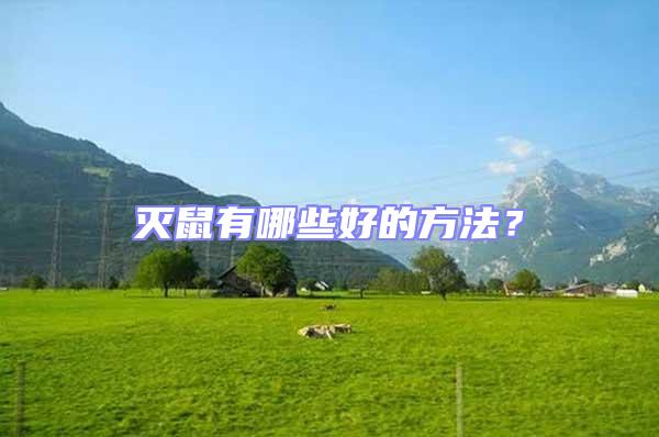 滅鼠有哪些好的方法？