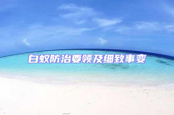 白蟻防治要領及細致事變