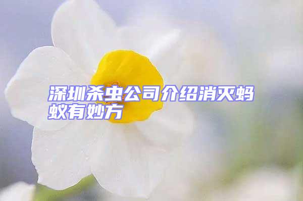深圳殺蟲(chóng)公司介紹消滅螞蟻有妙方