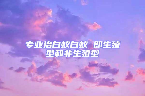 專業治白蟻白蟻 即生殖型和非生殖型