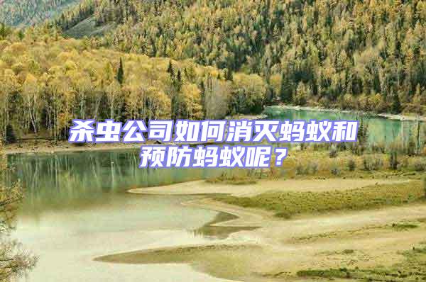 殺蟲公司如何消滅螞蟻和預防螞蟻呢？