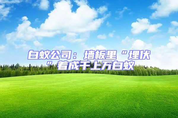 白蟻公司：墻板里“埋伏”著成千上萬白蟻