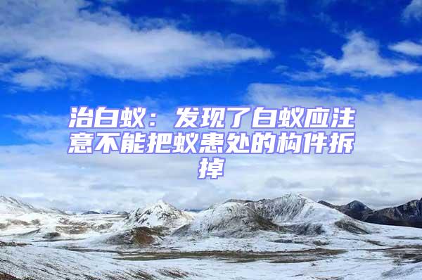 治白蟻：發現了白蟻應注意不能把蟻患處的構件拆掉
