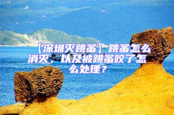 【深圳滅跳蚤】跳蚤怎么消滅，以及被跳蚤咬了怎么處理？