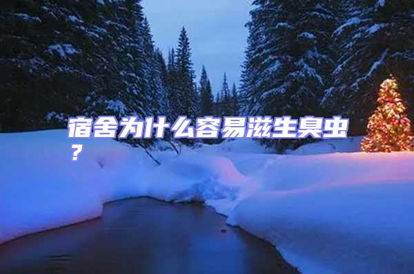 宿舍為什么容易滋生臭蟲？
