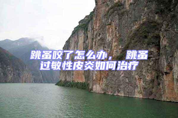 跳蚤咬了怎么辦， 跳蚤過(guò)敏性皮炎如何治療