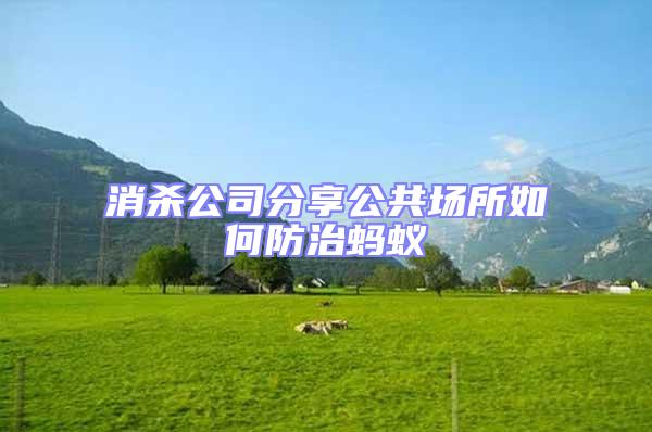 消殺公司分享公共場所如何防治螞蟻