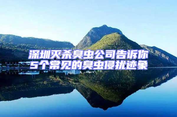 深圳滅殺臭蟲公司告訴你5個常見的臭蟲侵擾跡象