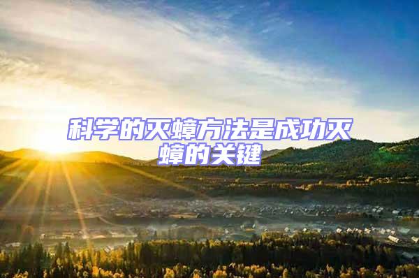 科學(xué)的滅蟑方法是成功滅蟑的關(guān)鍵