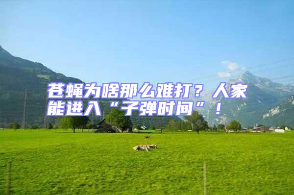 蒼蠅為啥那么難打？人家能進入“子彈時間”！