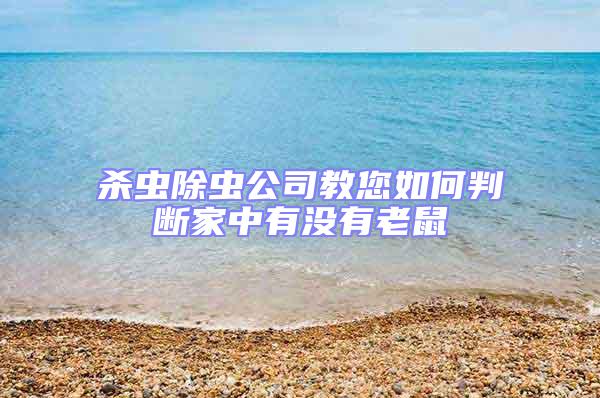 殺蟲除蟲公司教您如何判斷家中有沒有老鼠