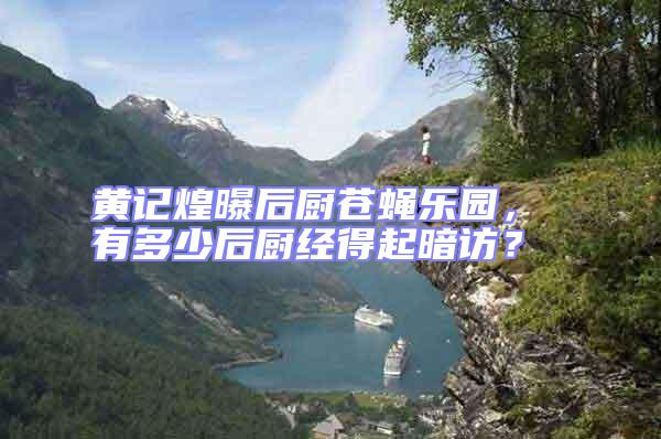 黃記煌曝后廚蒼蠅樂園， 有多少后廚經(jīng)得起暗訪？