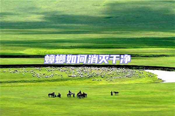 蟑螂如何消滅干凈