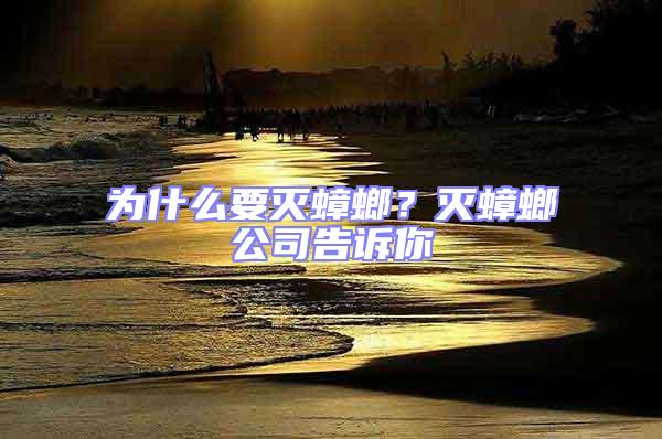 為什么要滅蟑螂？滅蟑螂公司告訴你