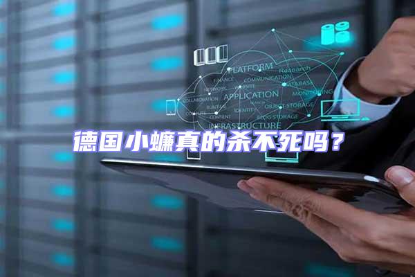 德國(guó)小蠊真的殺不死嗎？