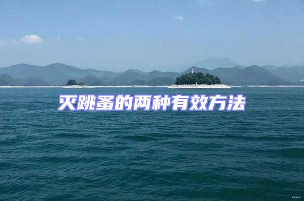 滅跳蚤的兩種有效方法