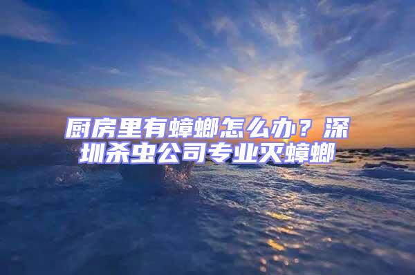 廚房里有蟑螂怎么辦？深圳殺蟲公司專業滅蟑螂