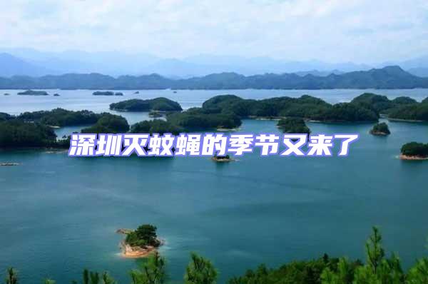深圳滅蚊蠅的季節又來了