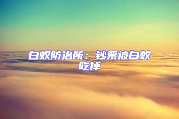 白蟻防治所：鈔票被白蟻吃掉