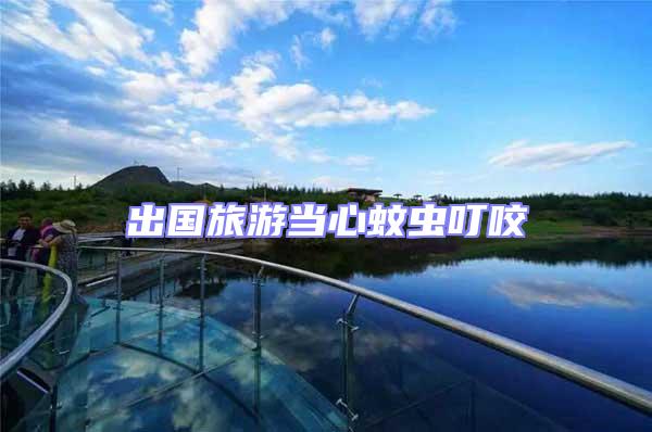 出國旅游當心蚊蟲叮咬