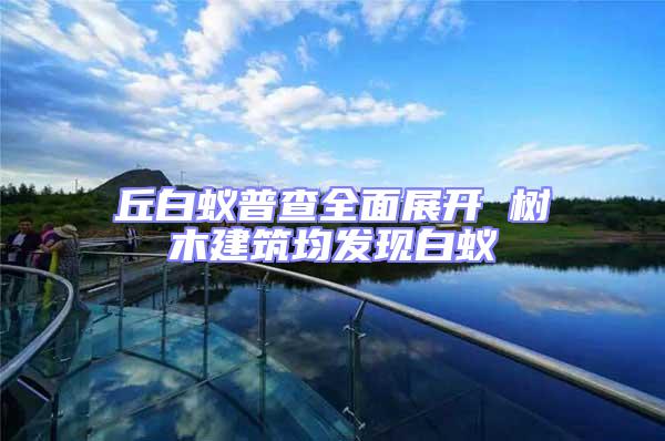 丘白蟻普查全面展開 樹木建筑均發現白蟻