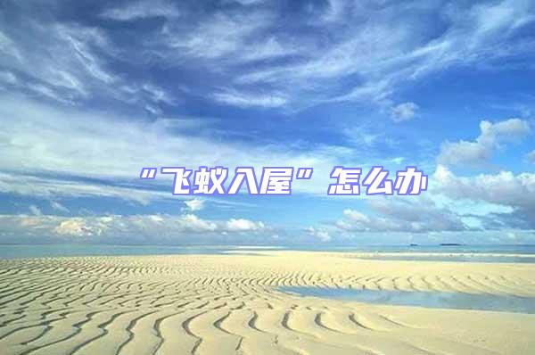 “飛蟻入屋”怎么辦
