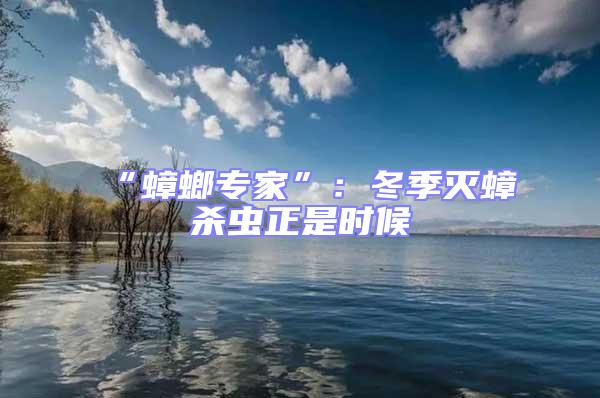 “蟑螂專家”：冬季滅蟑殺蟲正是時候