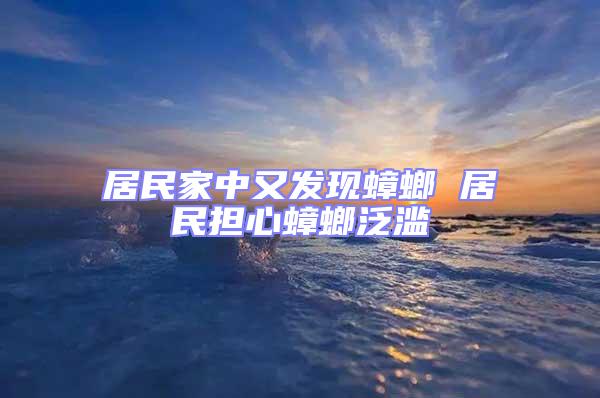 居民家中又發現蟑螂 居民擔心蟑螂泛濫