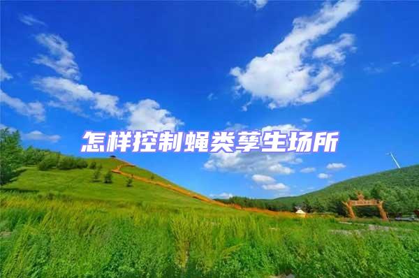 怎樣控制蠅類孳生場所