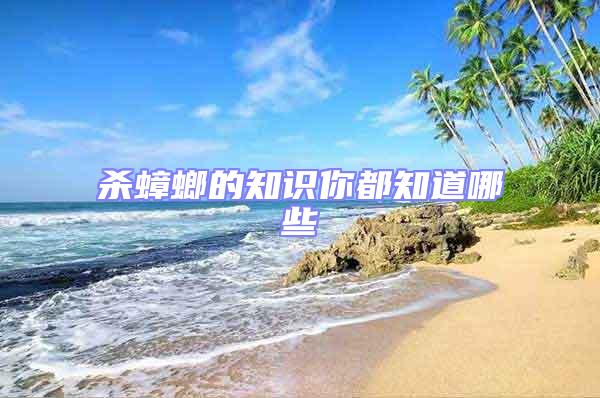 殺蟑螂的知識你都知道哪些